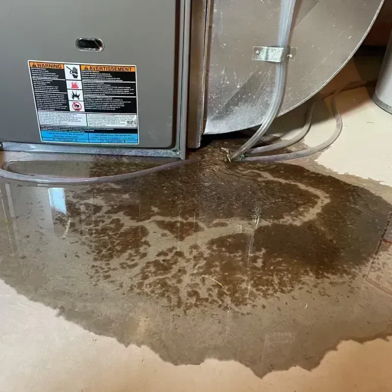 Appliance Leak Cleanup in Madison County, IL